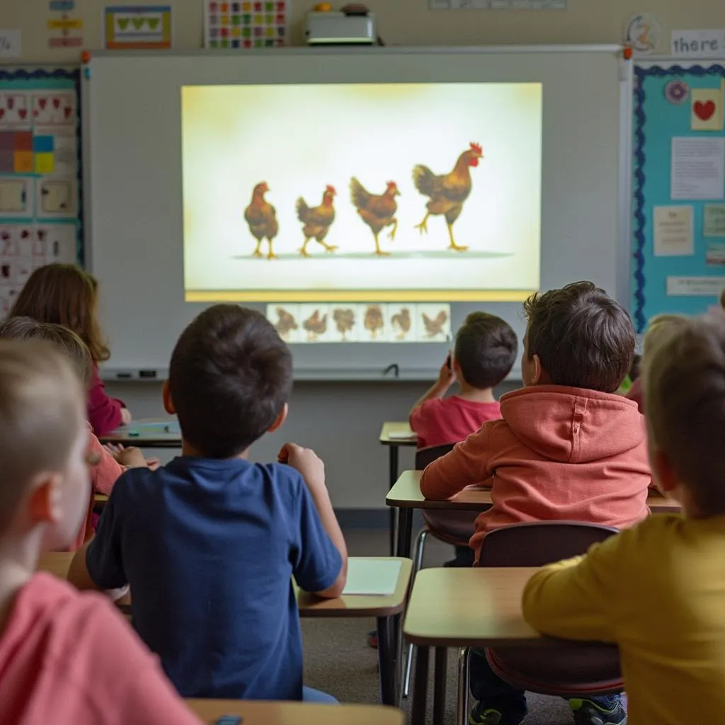 Educational Players